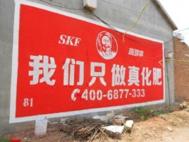 内乡刷墙广告”蕴含了时代命题