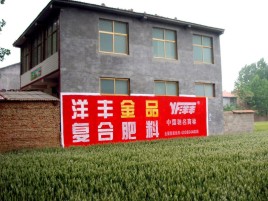 内乡如何让墙体广告展现最大化效果