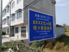 内乡墙体广告质量分析