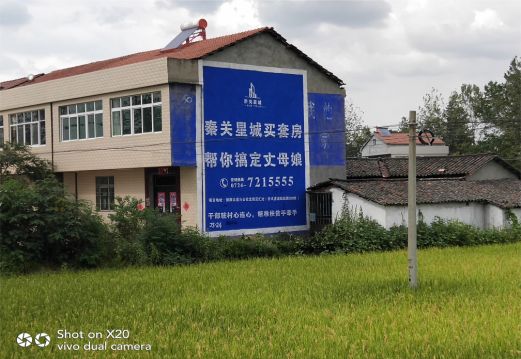 内乡决定墙体广告价格的因素有哪些?